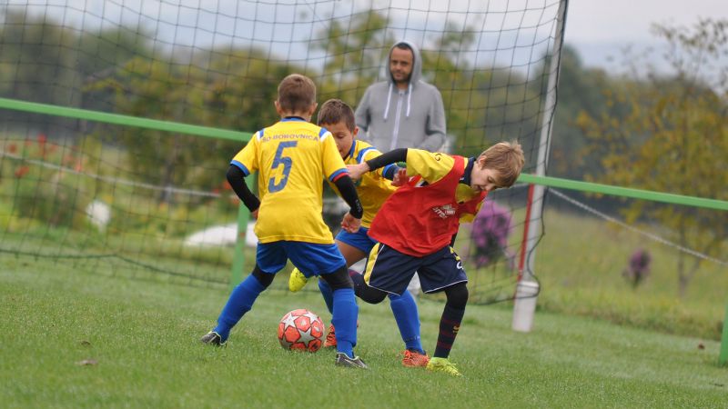 09 19-borovnica vir 02