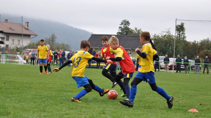 09 19-borovnica vir 06