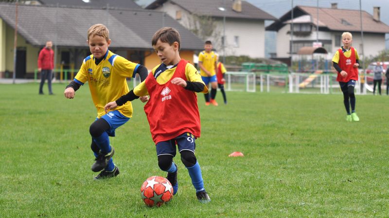 09 19-borovnica vir 08