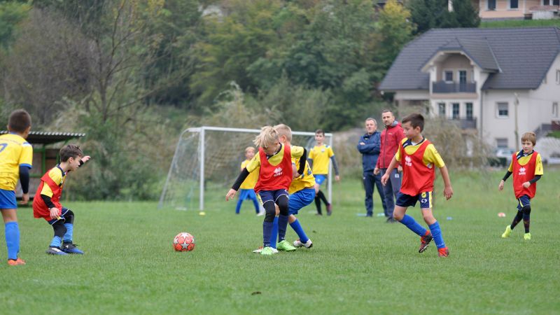 09 19-borovnica vir 28