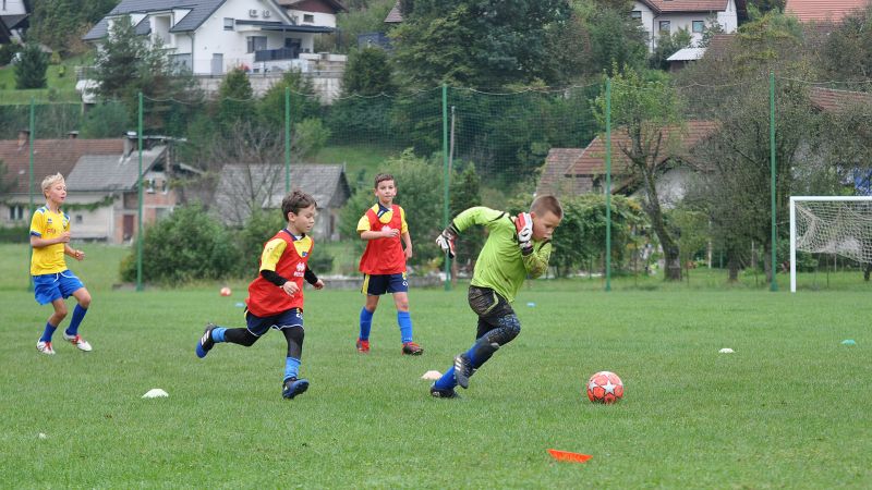 09 19-borovnica vir 33