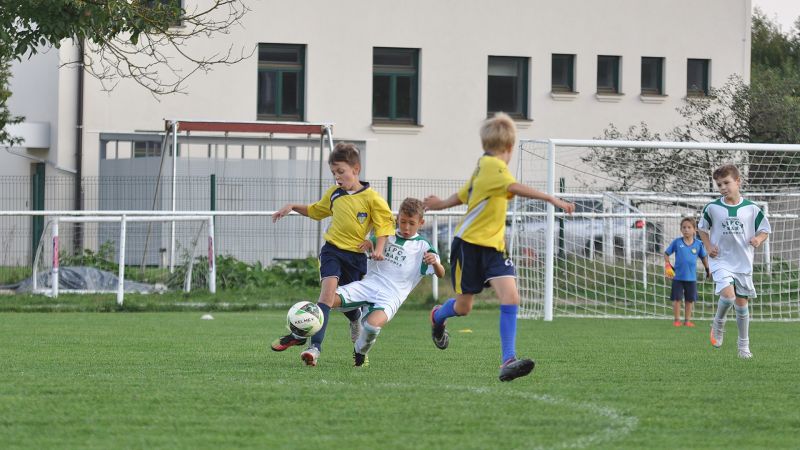 29 09-dragomer vir 02