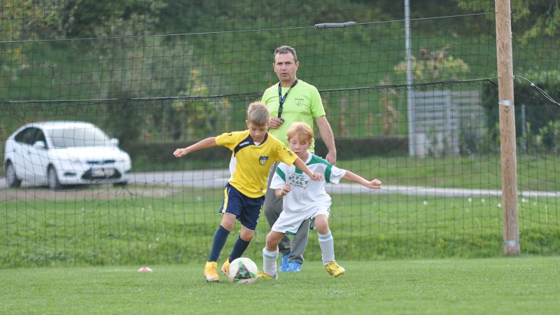 29 09-dragomer vir 09