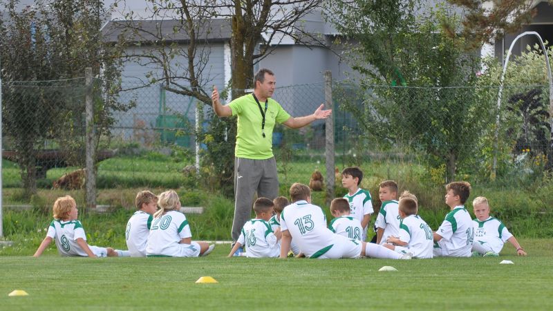 29 09-dragomer vir 11