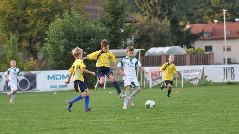 29 09-dragomer vir 16