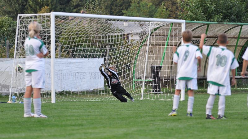 29 09-dragomer vir 20