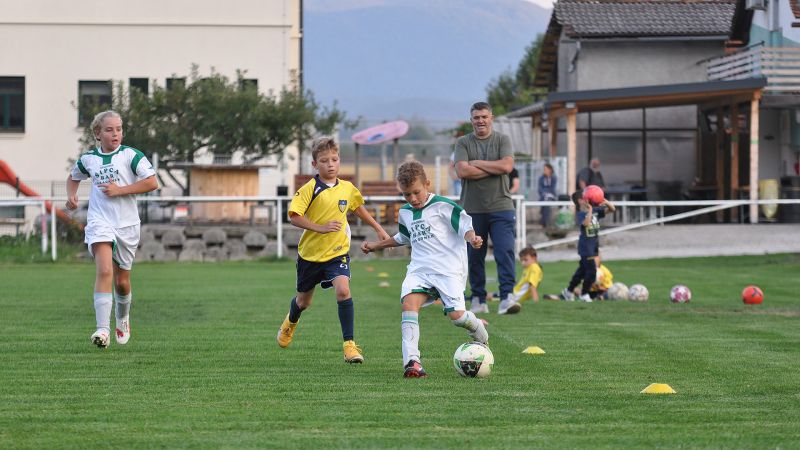 29 09-dragomer vir 22