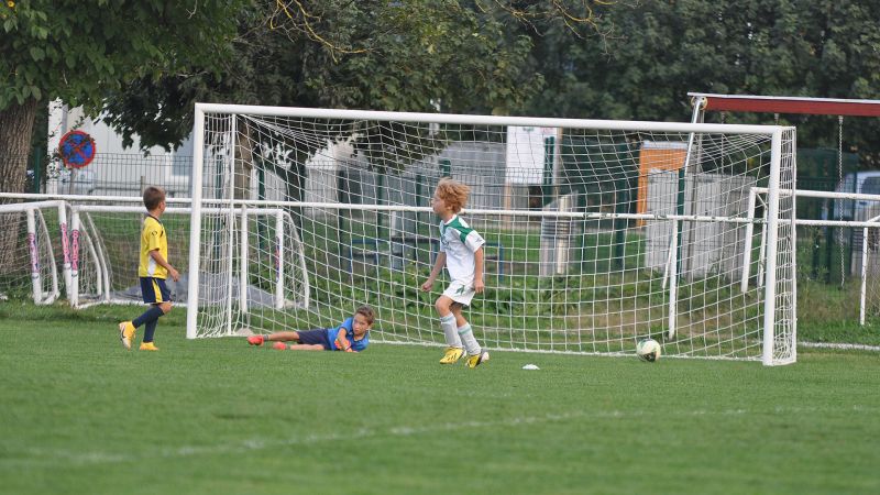 29 09-dragomer vir 24