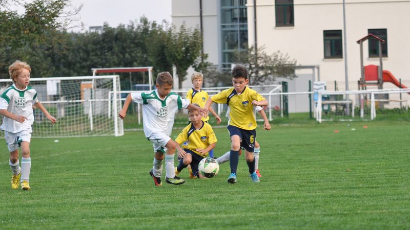 29 09-dragomer vir 26