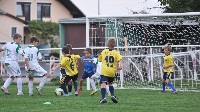 29 09-dragomer vir 33