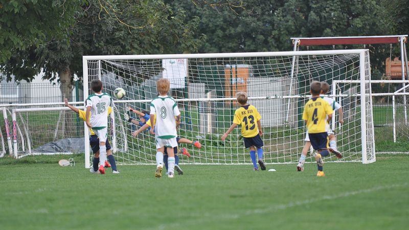 29 09-dragomer vir 35