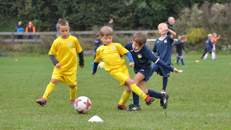 10 04-domzale vir 01