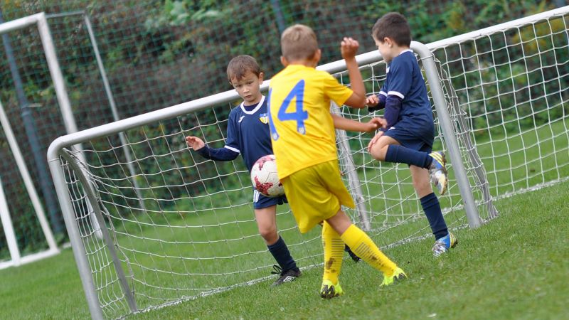 10 04-domzale vir 06