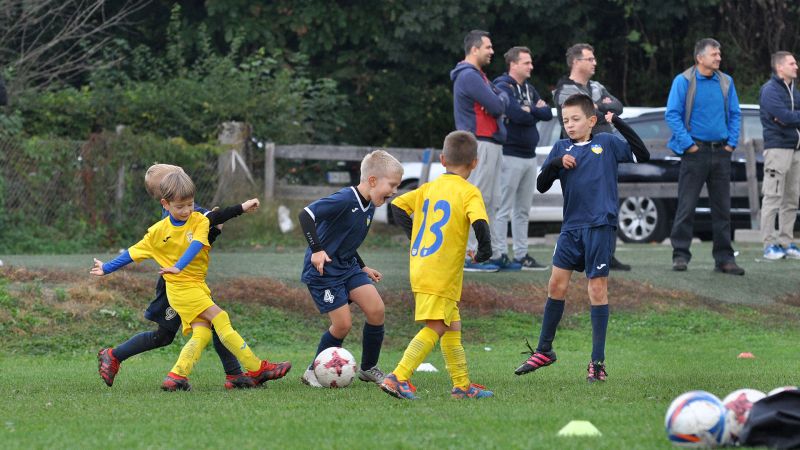 10 04-domzale vir 15