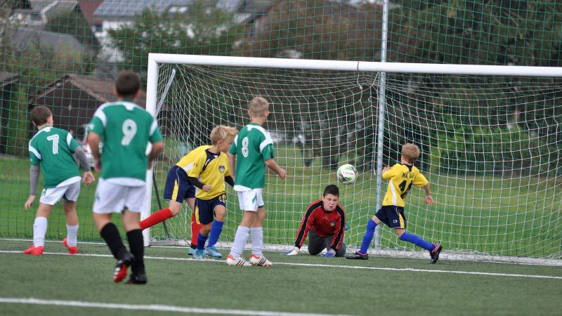 10 04-dragomer vir 09