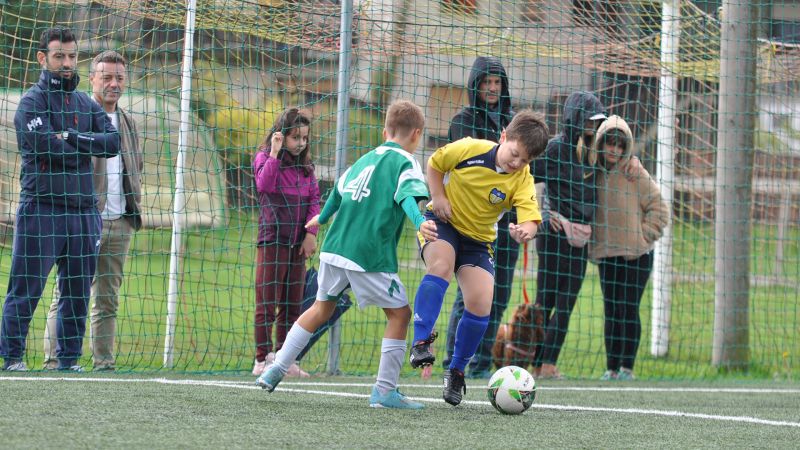 10 04-dragomer vir 33