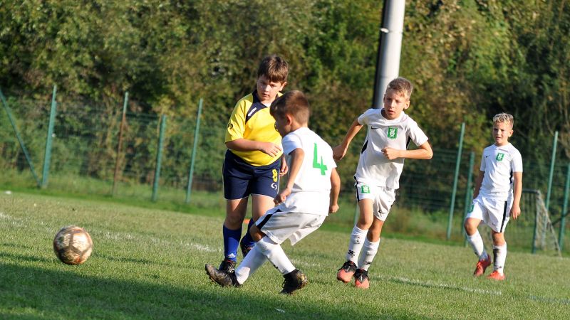 12 10-vir olimpija 20